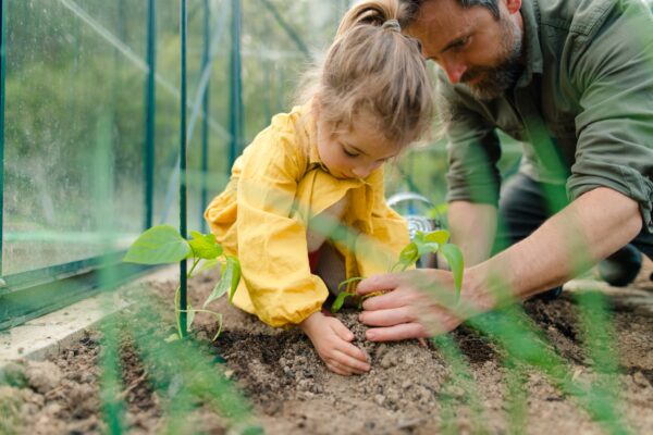 A father learning his little daughter to care about organic plants in eco greenhouse, sustainable lifestyle.Close up. SSUCv3H4sIAAAAAAAACoRTy67bIBDdV+o/RKyLahvjx/2A7qp2X3UxwCRGwSYCfKvqKv9esE1E1F51lXBm5px5HL99/HA6EQFeS/Jyekuv+NbGrD44CNouEa4+HbjDRaErkVfHuqoEUOlgnQZTggKCnBaYMYLLakyC71uQ+ABh9egLdVBWoA9WXiPIMoef1hDQZbwuOCQEvETRJ5Y804/9fcqBLRgrYoh8R3szSA6JXWYVKfIFZm0SYQ7tUu/xgLv6z9/WoKx1/6L7qr1EY2BBuxac+5+feUS44CJ/pxnuxXQODcK+oWMWwloYJHScInZA224UdKzOgjZN39ecdUIyyG0Q4O25k3KkfT0y2vYSqYh1FEEMrWqGiPZbS3sf5PorrnneVnl0AKvStljtq5VgUgIr2rw5LfVyKcpsmDaz5DJp1yW4NB95NGesvYGIN3g5nSMnZnwC72O6ynh57WhNOxc6iw3bdg5WoqId0rNmzTjwuuG8qpsm/ZDSc5OOPFs7ucH1ZiwoTKKPIz+7se54W7Gu48PjyH8Zc0uJutWekY2TrDDrmPl/+oHzo/bpQ4k5Wr37oRBeDTWrx7rajnlU6aRGZId9dICgAthI2zH5pecDPQtZCTUgG2Ubq+5/AAAA//8DAPwTYnsOBAAA